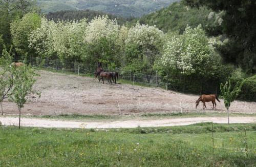 Foligno House | Agriturismo San Martino