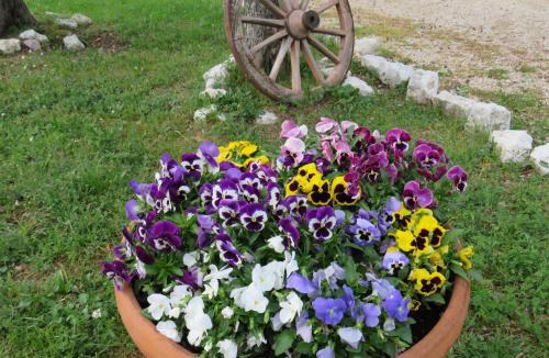 Foligno House | Agriturismo San Martino