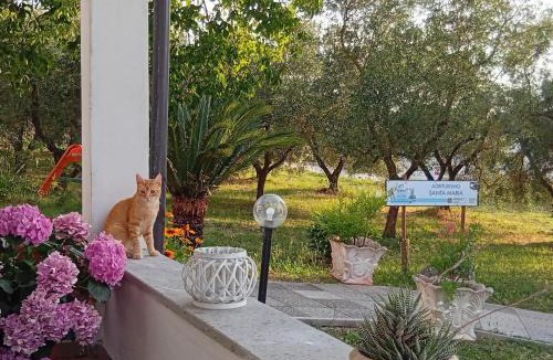 Marta House | Agriturismo Santa Maria