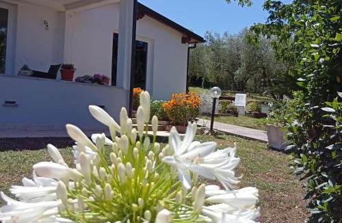 Marta House | Agriturismo Santa Maria