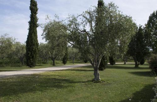Sutri Apartment | Agriturismo Scuderie della Contea