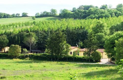 Assisi House | Agriturismo Sotto il Colle