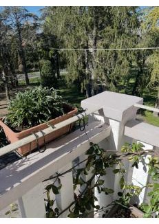 Cotignola House | Agriturismo Villa Dei Gelsi