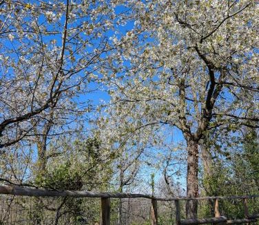Pianfei Bed & Breakfast | Al tempo ritrovato Country house