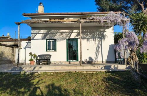 Montopoli di Sabina Apartment | All'ombra del pino, Passo corese & Fiano Romano