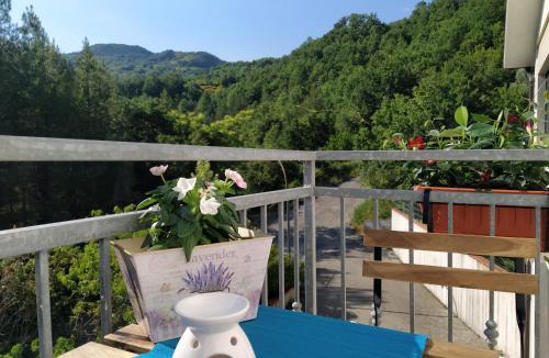 Torrebruna House | Anthony House