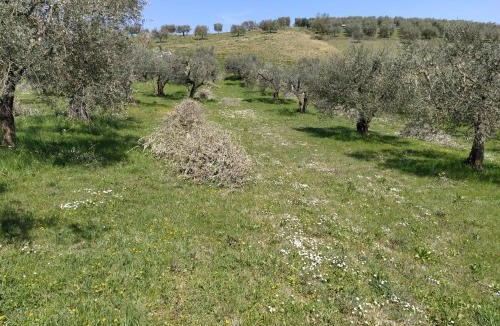 Ariano Irpino House | Antica Masseria Lo Conte