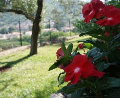 Lugnano in Teverina Apartment | Apartment ∙ 2 bedrooms ∙ 4 guests