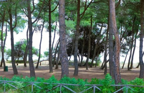 Silvi Apartment | Apartment Cerrano in Silvi Marina - 6 persons, 2 bedrooms