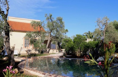 Chiesiola House | Apartment 'Ciccino' in Villa Oleandro in Vieste, dogs welcome