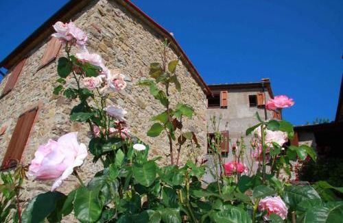 Montieri Apartment | Apartment in Montieri - Toskana 38264