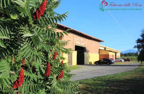 Salussola Apartment | Apartment surrounded by greenery at the Fattoria delle Rose