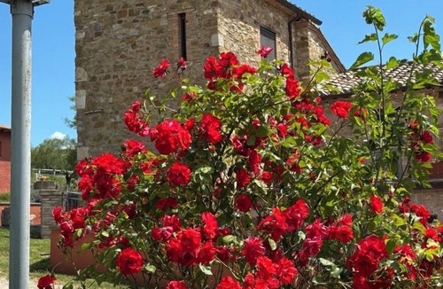 Magione Apartment | Appartament Selleria