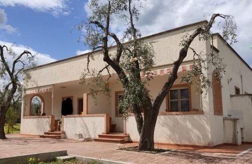 Montincello Apartment | Appartamenti Anna Maria