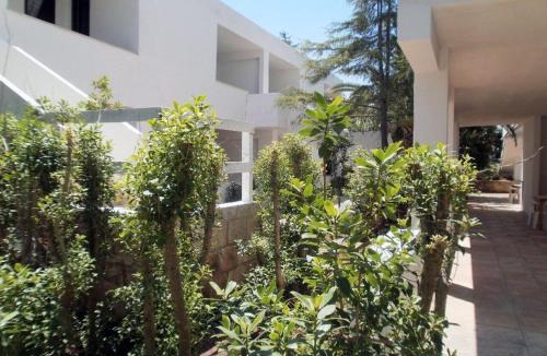 Montincello Apartment | Appartamenti con piscina Vieste Mare