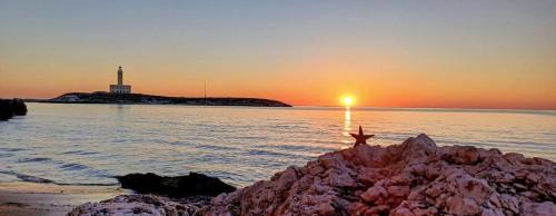 Chiesiola Apartment | Appartamenti Pina