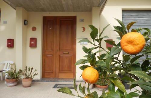Porto Sant'Elpidio Apartment | Appartamento mare attico Oro rosso