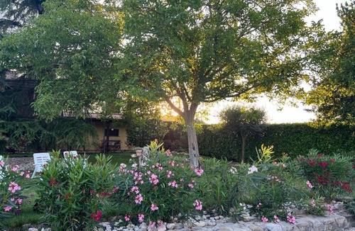 Petrignano Apartment | Assisi, la Noce