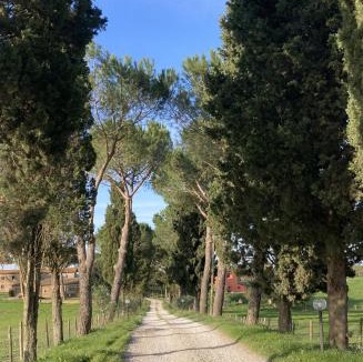 Castel Sant'Elia House | Azienda Agricola il Borgo di Sant'Elia