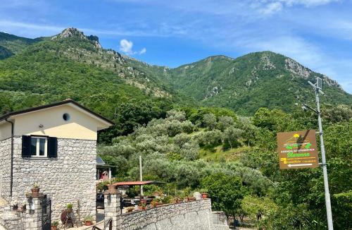 Faicchio Bed & Breakfast | Azienda Agrituristica Marenna