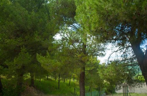 Monterubbiano House | Azienda ASIS