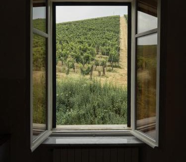 Strevi House | Azienda Oddone Prati Winery