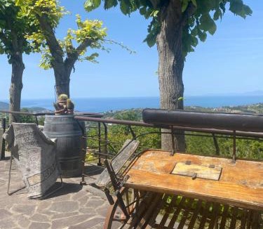 Ogliastro Cilento Bed & Breakfast | B&B and Home Restaurant Il giardino di Armida