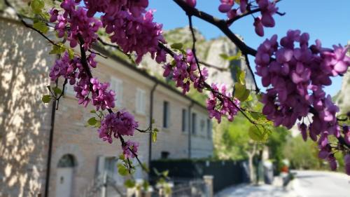 Furlo Bed & Breakfast | B&B Aquilegia