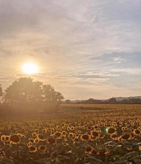 Montecosaro Bed & Breakfast | B&B Armonia