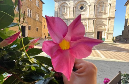 Pienza Bed & Breakfast | B&B Camere La Vite