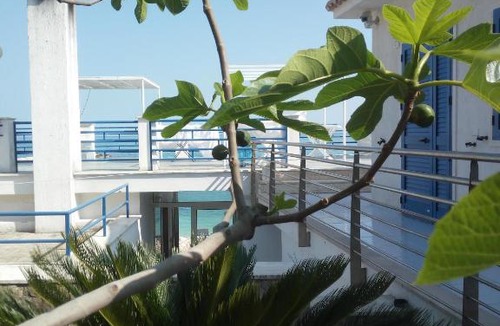 Mattinata Bed & Breakfast | B&B Conca del Faro