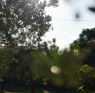 Casalbordino Bed & Breakfast | B&B da Nic e Ste