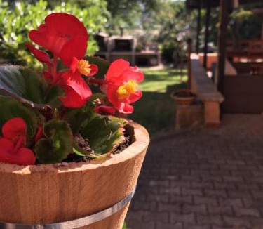 Bevagna Bed & Breakfast | B&B Dell'Annunziata