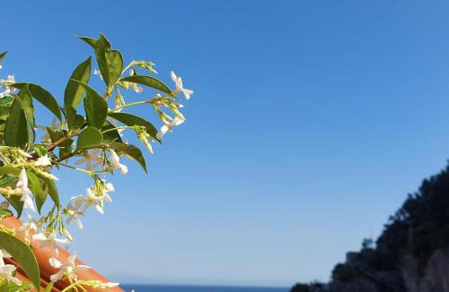 Cetara Bed & Breakfast | B&B Domus San Pietro