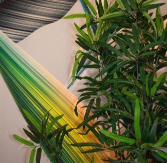 Sambuceto Apartment | B&B Esotica