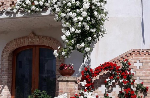 Canosa Sannita Bed & Breakfast | B&B Galleria 37