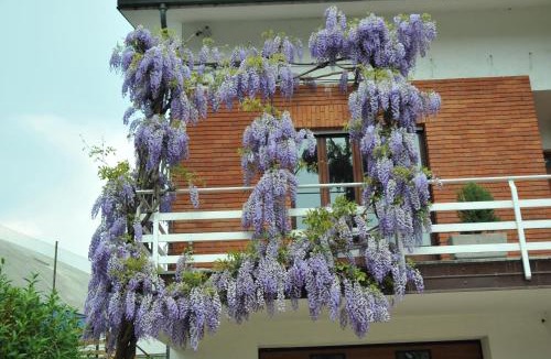 Sandigliano Bed & Breakfast | B&B Gatto Rosso