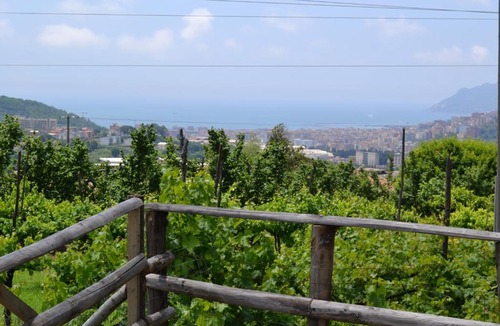 Ogliara Bed & Breakfast | b&b Green Valley