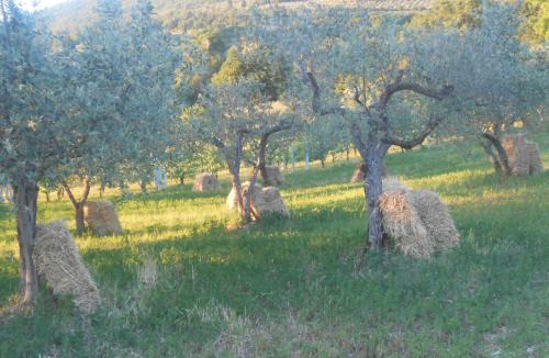 Assisi Bed & Breakfast | B&B Il Sentiero di Assisi