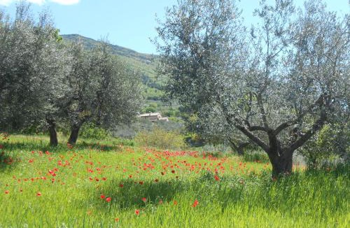Assisi Bed & Breakfast | B&B Il Sentiero di Assisi