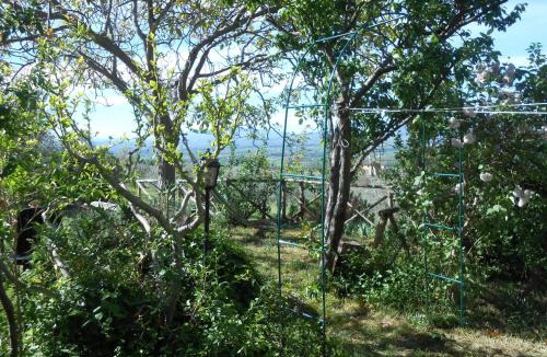 Assisi Bed & Breakfast | B&B Il Sentiero di Assisi