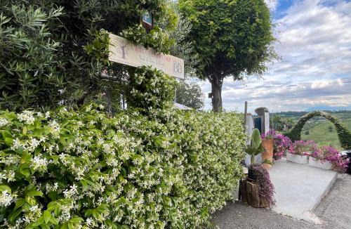 Atri Bed & Breakfast | B&B L'Albero Di Antonia