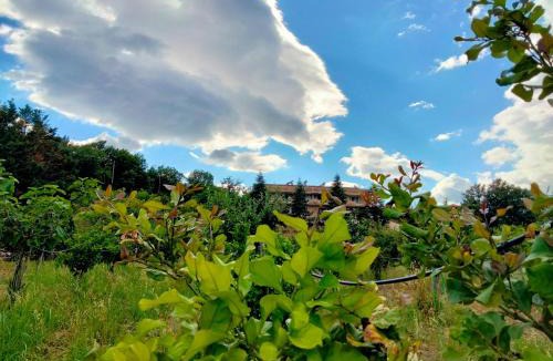 Marina di Casal Velino House | b&b L`Oasi