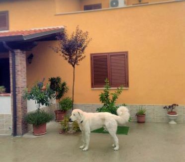 Ortona Bed & Breakfast | B&B La casetta