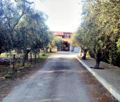 Ortona Bed & Breakfast | B&B La casetta