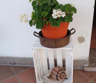 Bagnacavallo Bed & Breakfast | B&B La Chiocciola