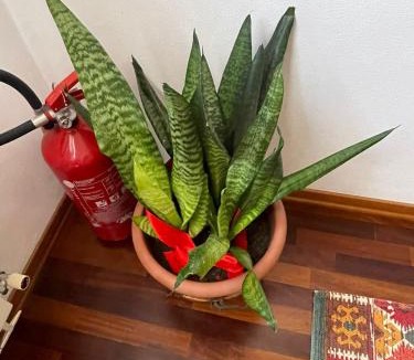 Bagnacavallo Bed & Breakfast | B&B La Chiocciola