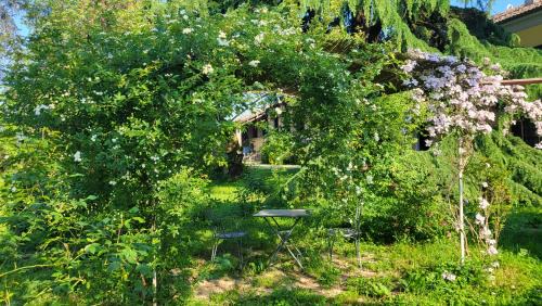 Pozzolo Formigaro Bed & Breakfast | B&B la Giorgetta