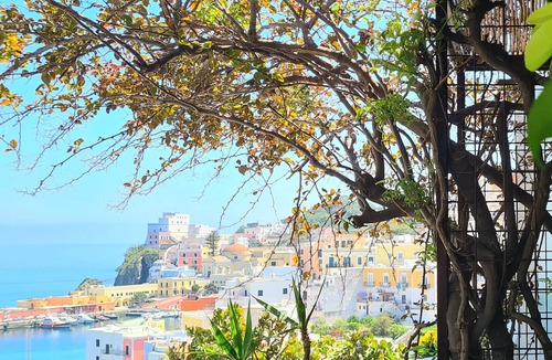 Ponza Bed & Breakfast | b&b La Limonaia a mare 04
