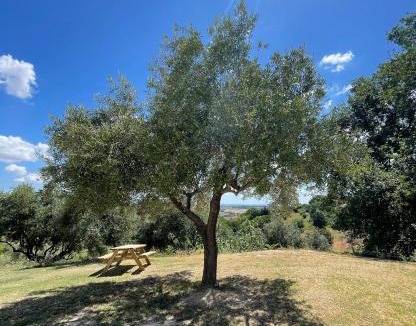Troviggiano Bed & Breakfast | B&B La Vera Vita